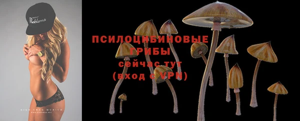 эйфоретик Гусев