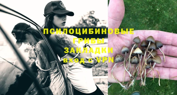 метадон Гусь-Хрустальный