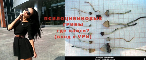 метадон Гусь-Хрустальный