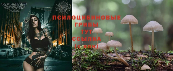 MESCALINE Гусиноозёрск