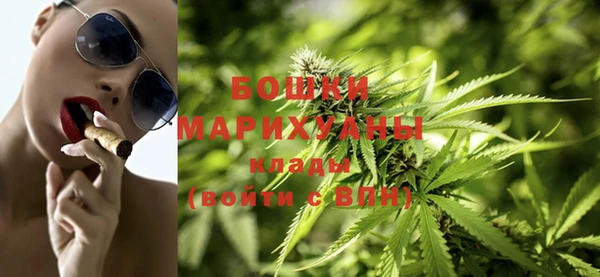 эйфоретик Гусев