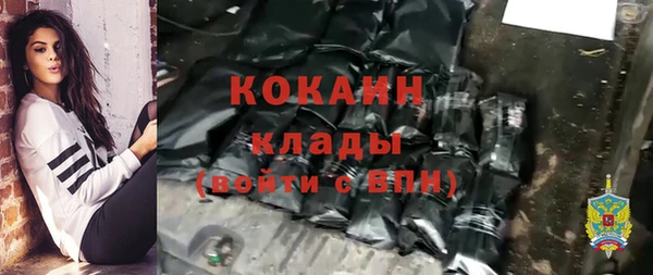 метадон Гусь-Хрустальный